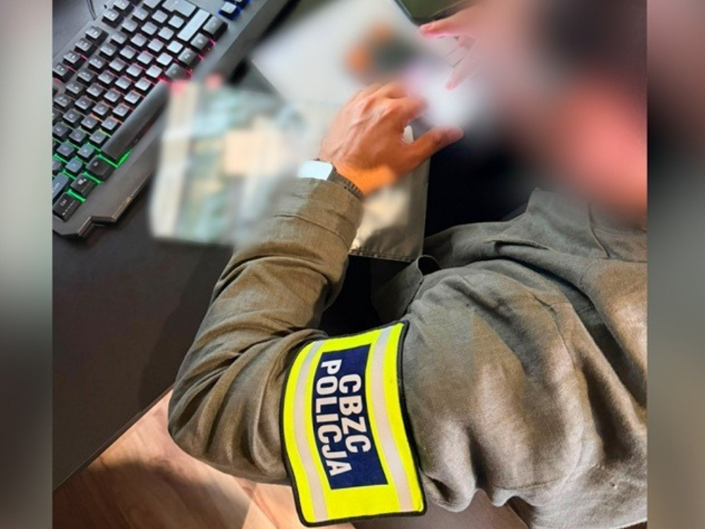 Nieletni oferowali w Internecie usługi ataku DDoS - najmłodszy miał 12 lat